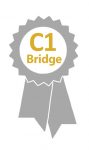 TR-24e-JAN-C1-Bridge-icon